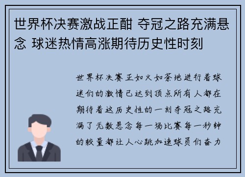 世界杯决赛激战正酣 夺冠之路充满悬念 球迷热情高涨期待历史性时刻