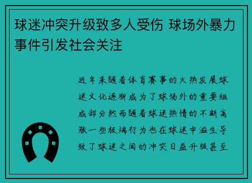 球迷冲突升级致多人受伤 球场外暴力事件引发社会关注