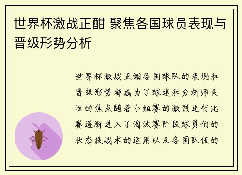 世界杯激战正酣 聚焦各国球员表现与晋级形势分析